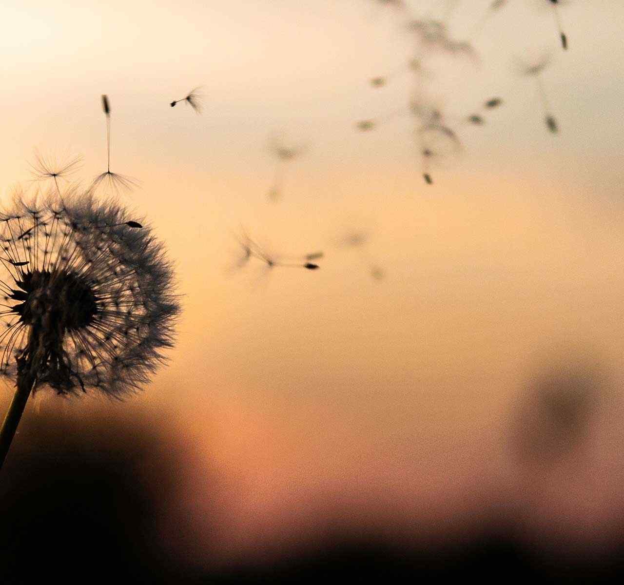https://beta.glowwell.com/wp-content/uploads/2018/09/post_02-1280x1200.jpg