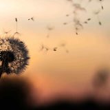 https://beta.glowwell.com/wp-content/uploads/2018/09/post_02-160x160.jpg